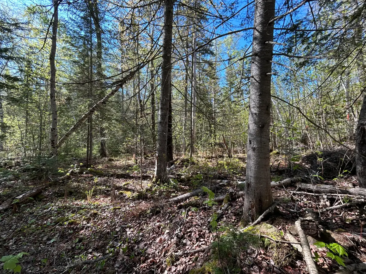 M8/L17A Bald Mt Road, Oquossoc, ME 04964 - #1