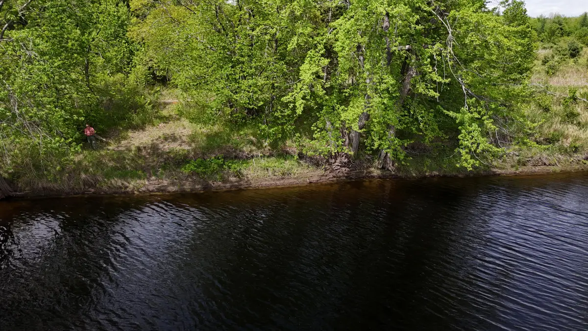 lot 6 Emery Farm Road, Medford, ME 04463 - #1