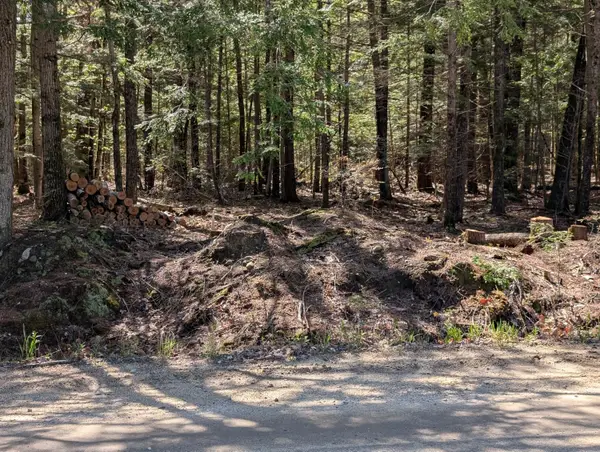 35 Mcallister Road, Otisfield, ME 04270