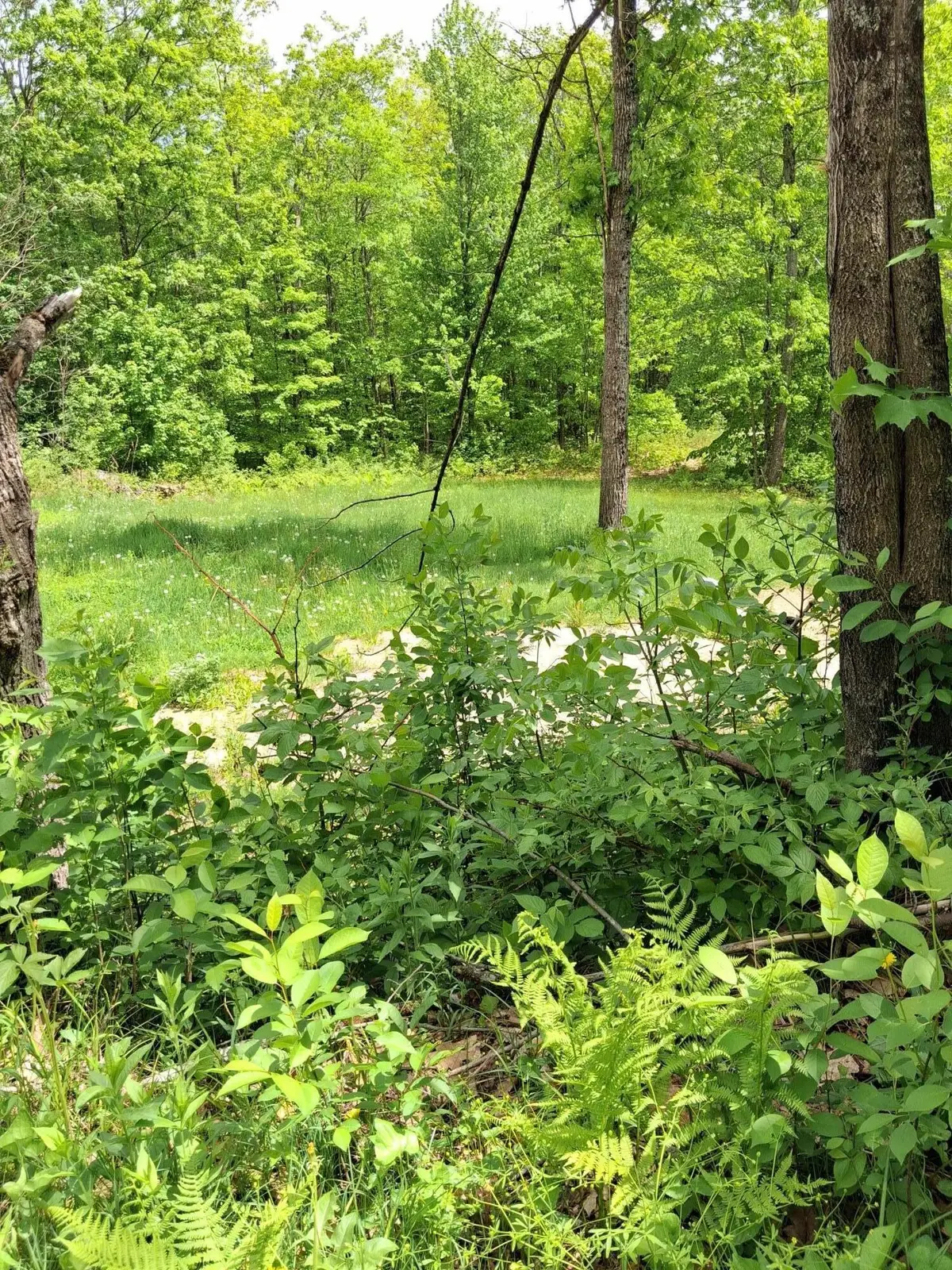 209 Adams Road, Chesterville, ME 04938 - #1