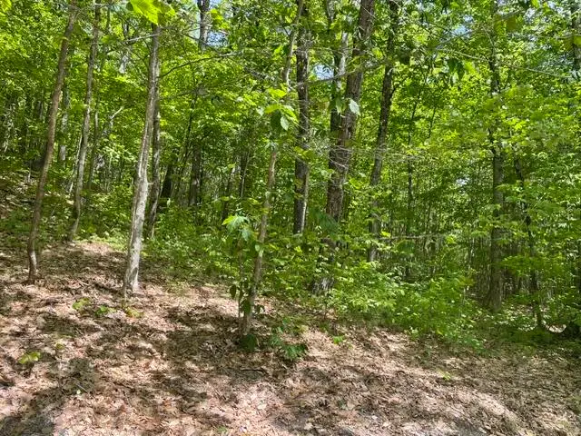 0 Edes Falls Road, Harrison, ME 04040 - #1