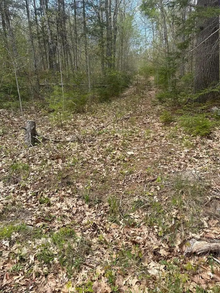 Lot 3 Morse District Road, Steuben, ME 04680 - #1