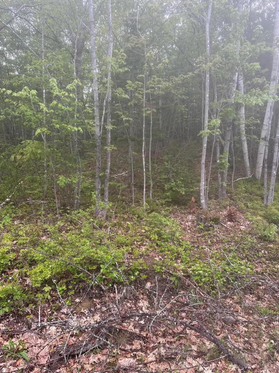 Lot 3 Morse District Road, Steuben, ME 04680 - #2