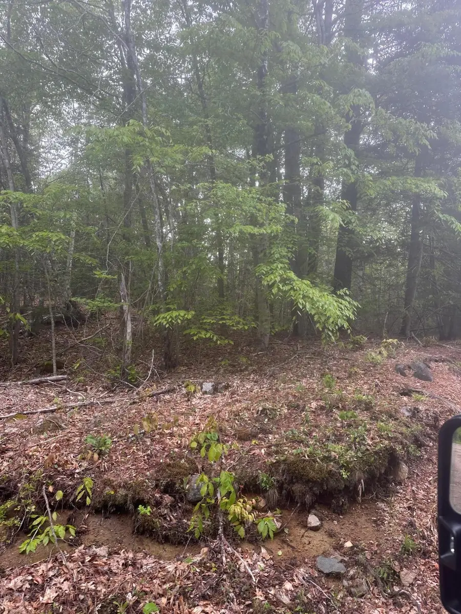 Lot 3 Morse District Road, Steuben, ME 04680 - #3