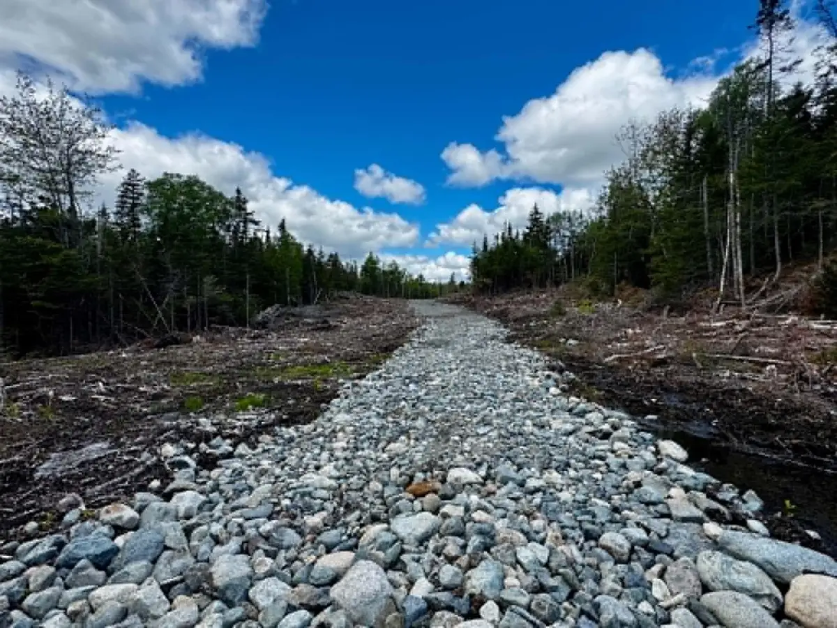Lot 49 Port Road, Machiasport, ME 04655 - #1