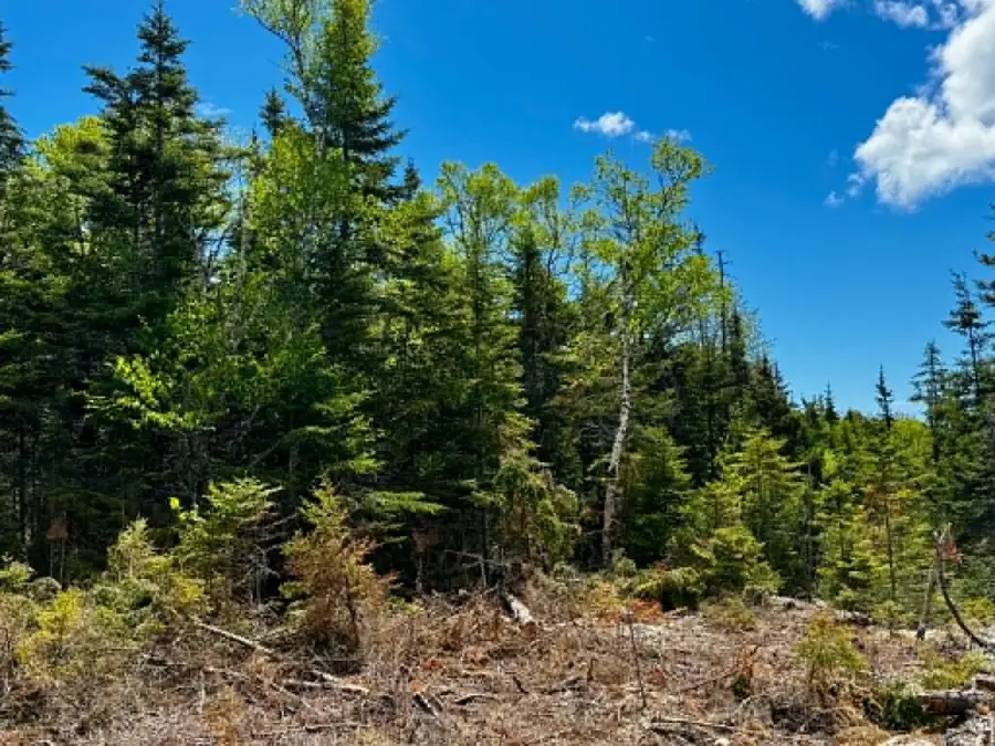 Lot 49 Port Road, Machiasport, ME 04655 - #2
