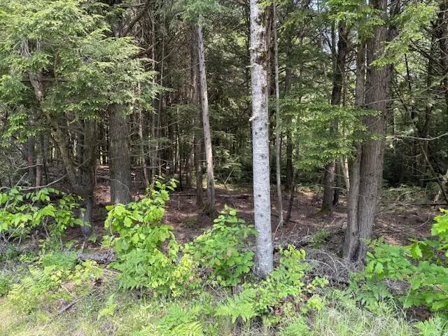 00 Kirkland Road, Old Town, ME 04468 - #3