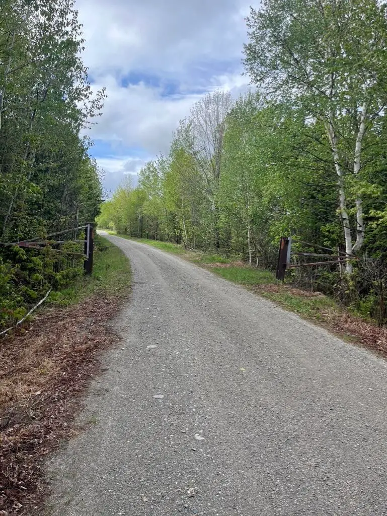 M10L18E East B Hill Road, Upton, ME 04261 - #2