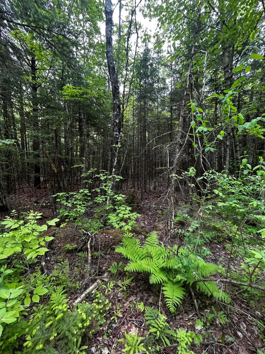 Lot 9-2 Lilly Drive, Newport, ME 04953 - #2