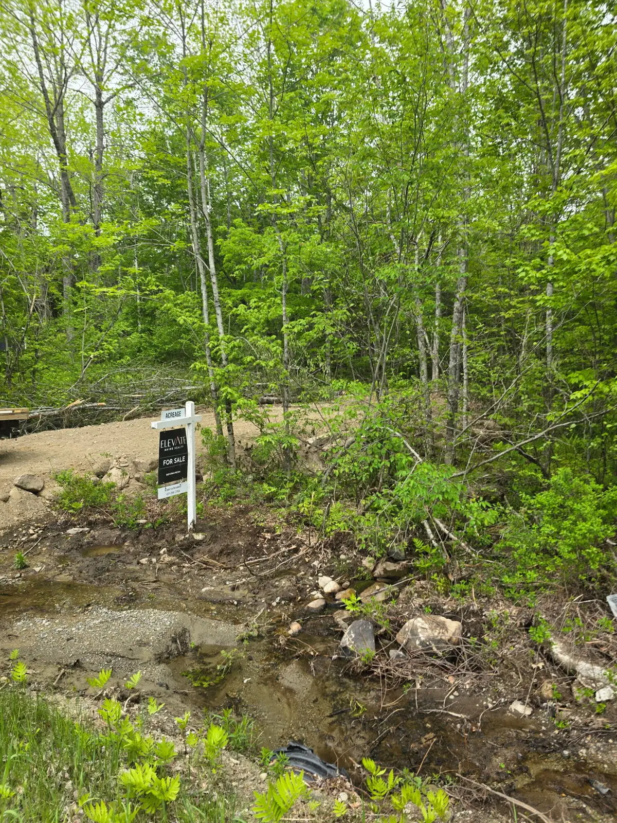 lot 33 Map 04 Bog Hill Road, Searsport, ME 04974 - #1