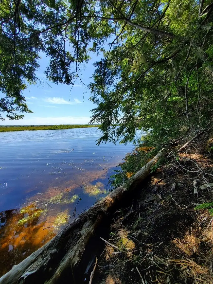Lot 7 Heath Road, Mariaville, ME 04605 - #2