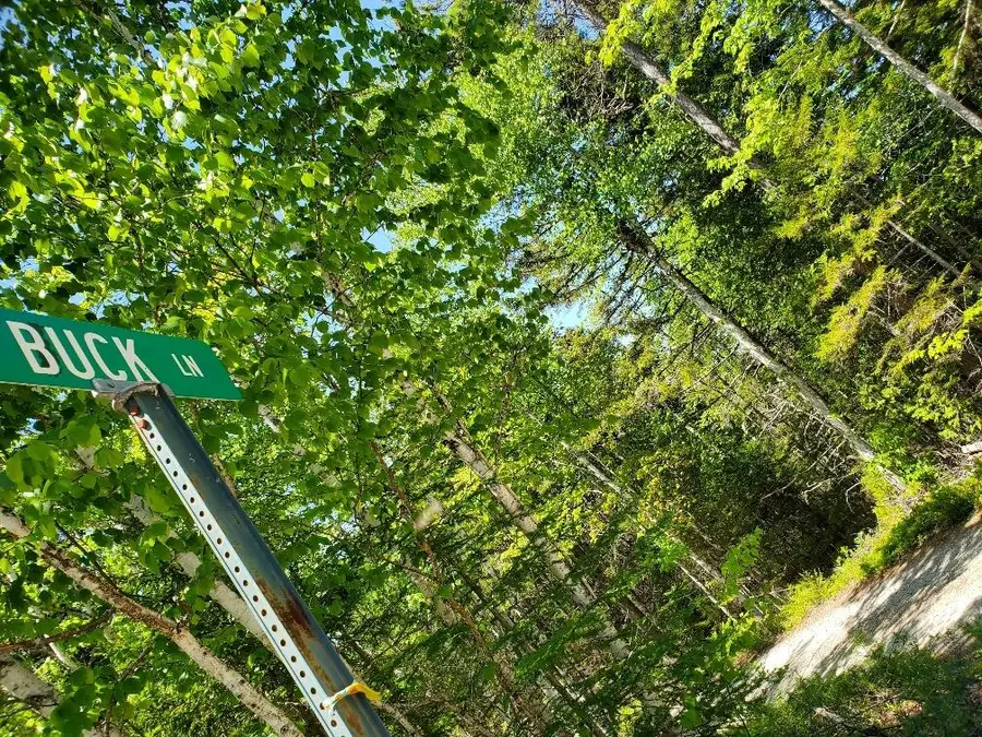 0 Spruce Mountain Lake, Beddington, ME 04622 - #3
