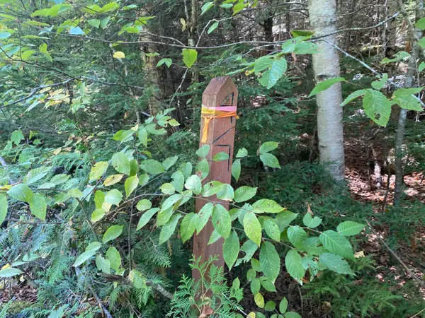 M06-Lot18A Sys Road, Lakeville, ME 04487