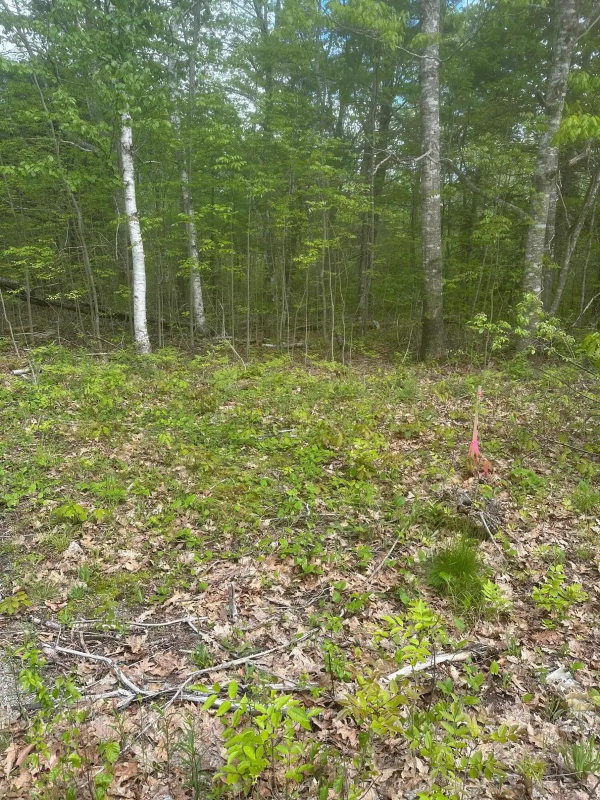 Lot 7 Unionville Road, Steuben, ME 04680 - #1