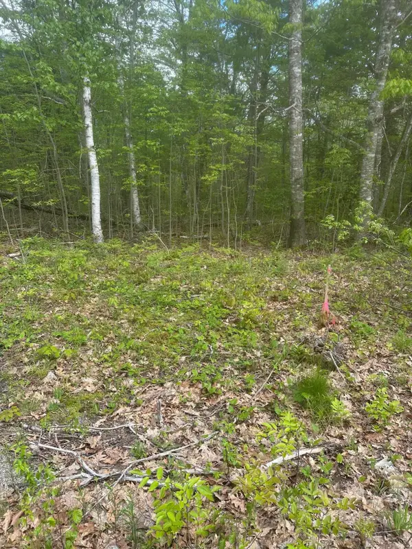 Lot 7 Unionville Road, Steuben, ME 04680