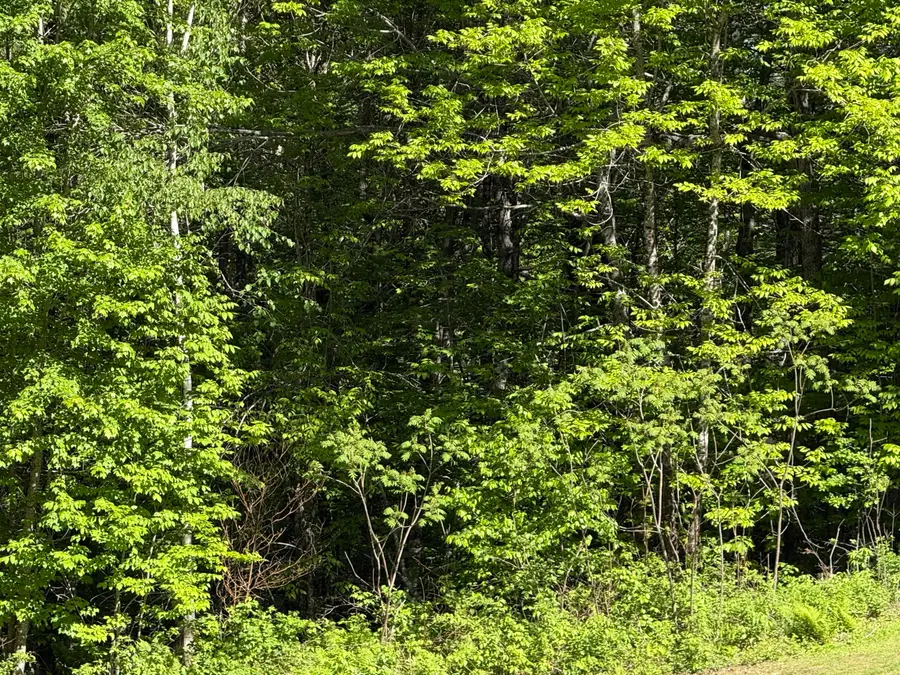 M10 L28-C Weeks Mills Road, Windsor, ME 04363 - #3