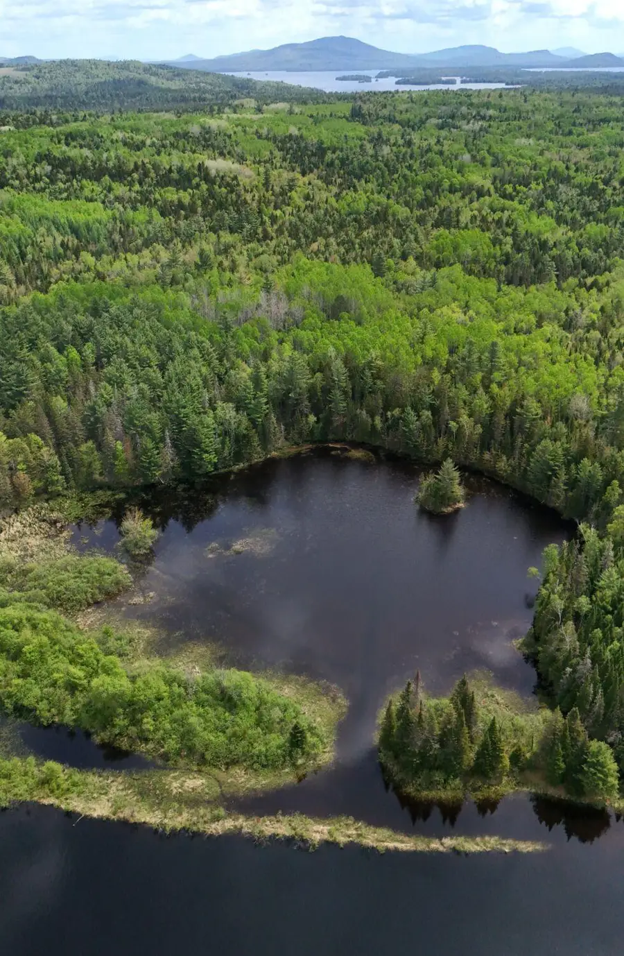 Lot 3C Scott Road, Eustis, ME 04936 - #3