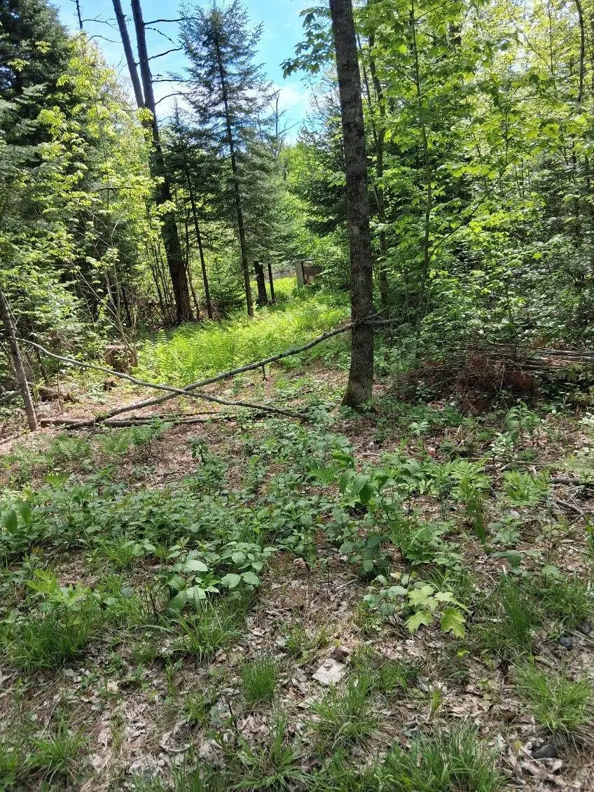 Lot 27-2.1 Jaquith Pond Road, Brownville, ME 04414 - #2