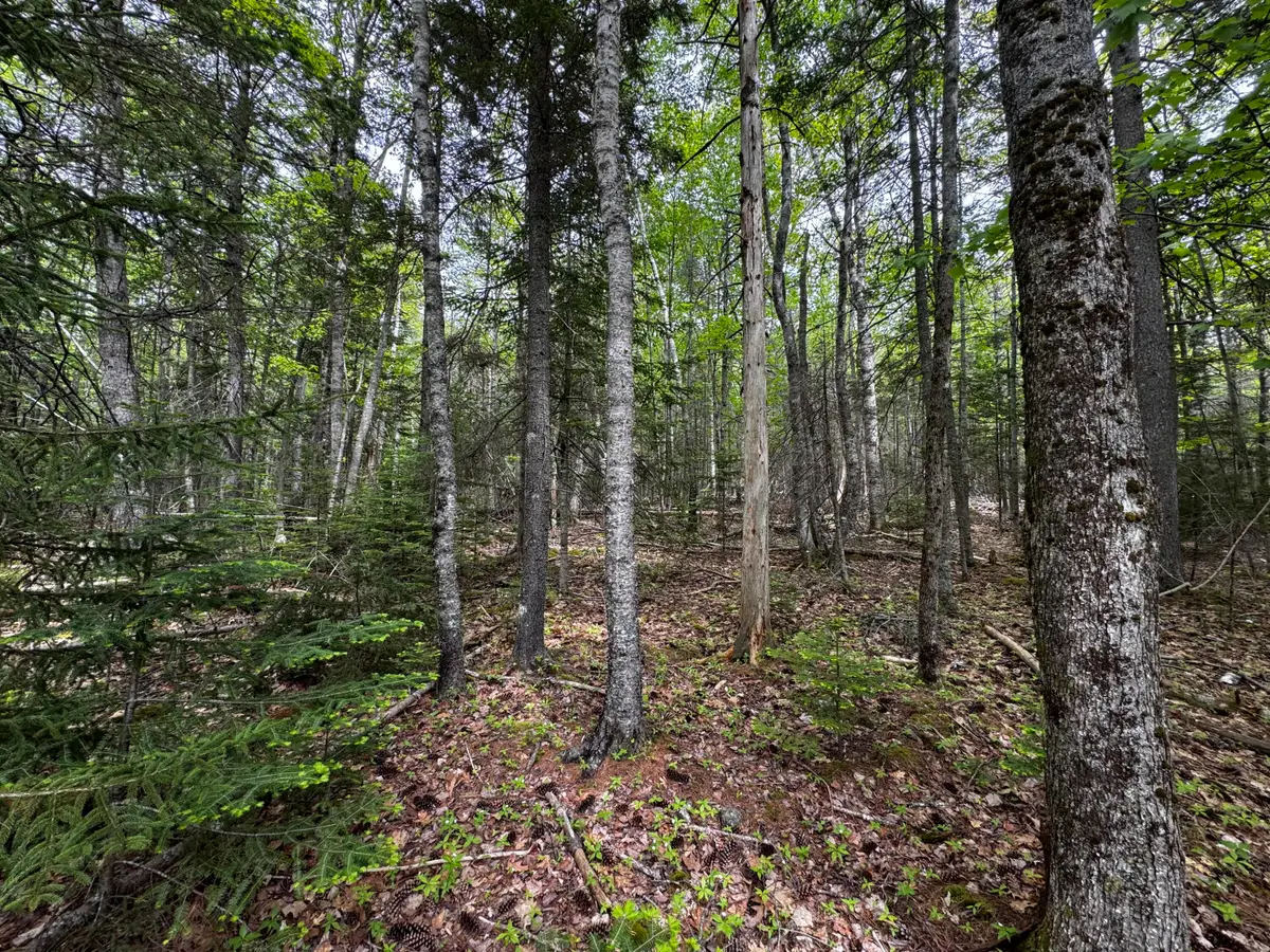 Lot 0 Hadley Point Road, Bar Harbor, ME 04609 - #1