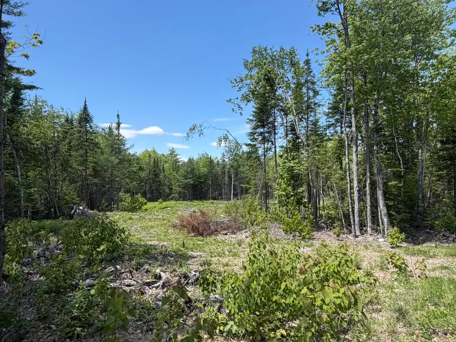 0 Merritt Drive, Orono, ME 04473 - #2
