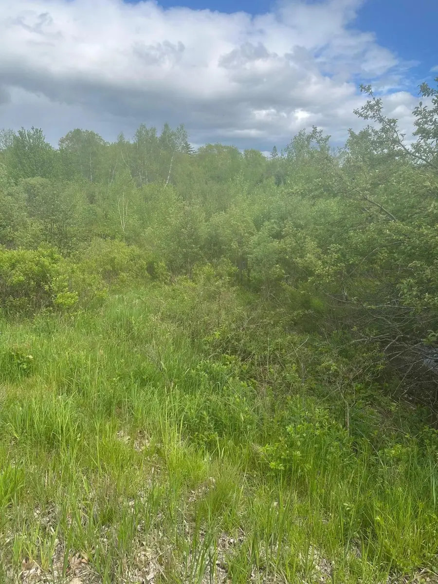 Lot 6 Unionville Road, Steuben, ME 04680 - #3