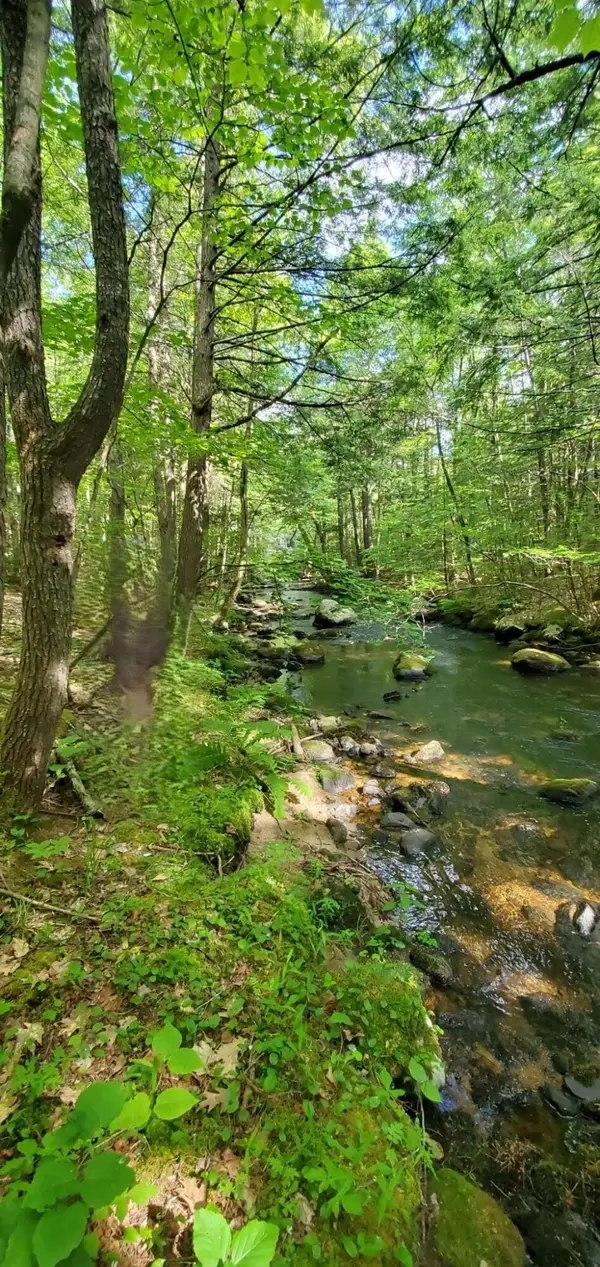 Lot 44 Rolfe Road, Harrison, ME 04040