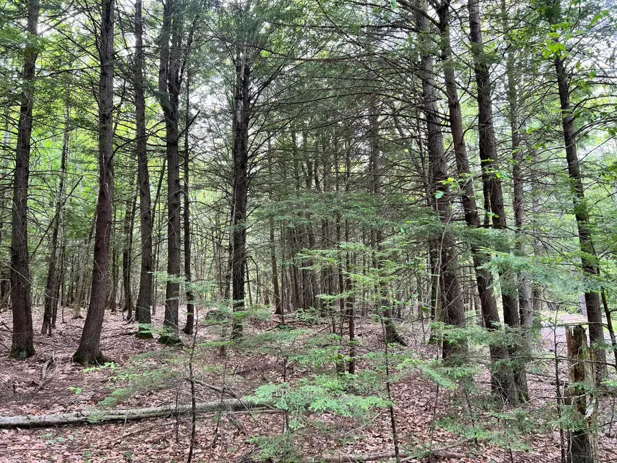 139A Pratt Road, Bowdoinham, ME 04008 - #2