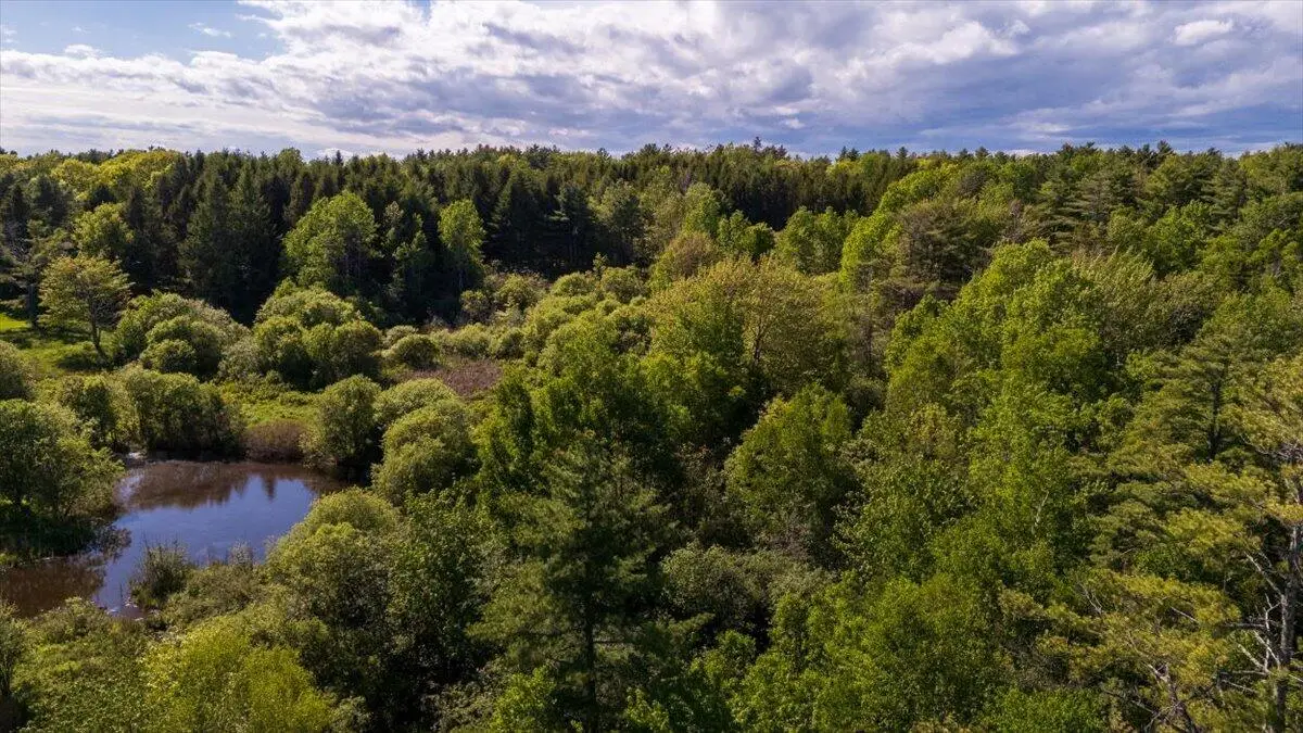 Map 20 Lot 14-10 Iron Tree Street, South Thomaston, ME 04858 - #1
