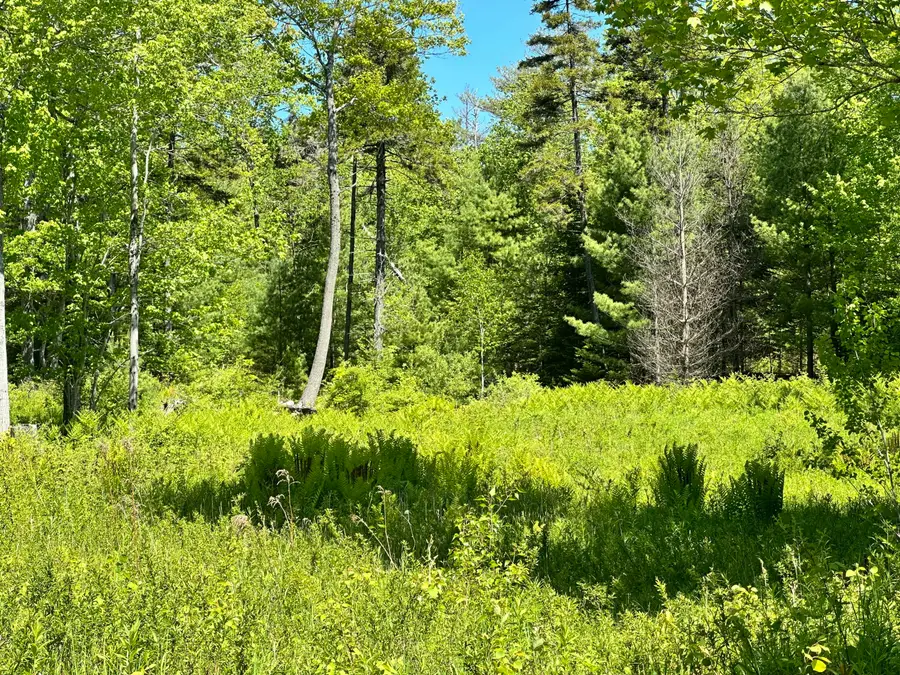Map 20 Lot 14-10 Iron Tree Street, South Thomaston, ME 04858 - #3