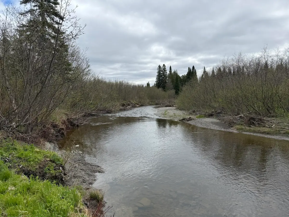 M5L15 Off Alexander Road, Van Buren, ME 04785 - #1