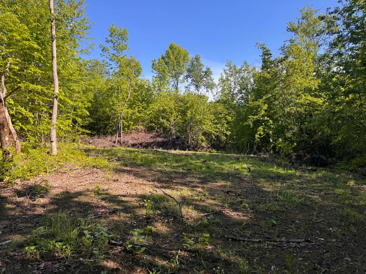 Lot 47 Beans Corner Road, New Sharon, ME 04955 - #1