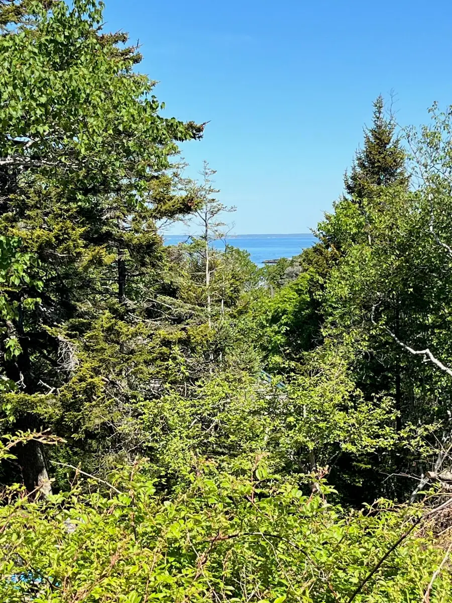 143 Blackhead Trail, Monhegan, ME 04852 - #2