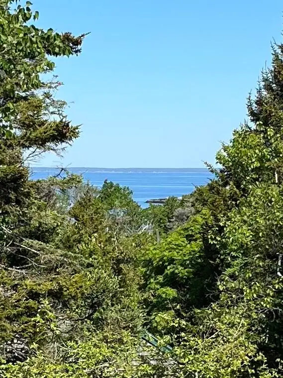 143 Blackhead Trail, Monhegan, ME 04852 - #3