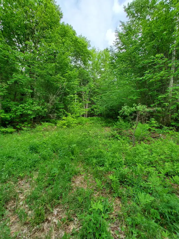Lot 50 (map 14), Andover, ME 04216
