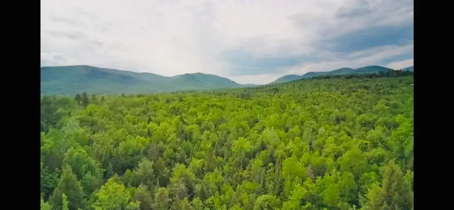 Lot 50 (map 14), Andover, ME 04216 - #3