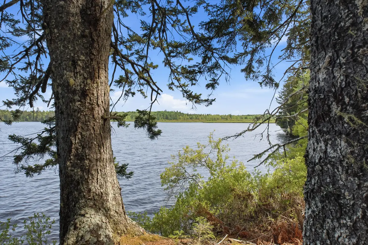10 Sunrise Way, Whiting, ME 04691 - #1