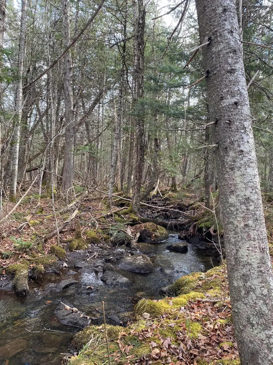Lot 023 Pleasant Ridge Road, Dexter, ME 04930 - #2
