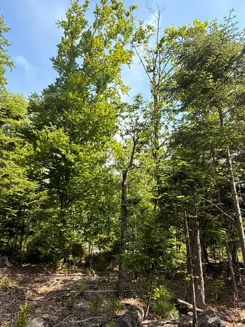 Lot #16 Sunset Cove Way, Orland, ME 04472 - #2