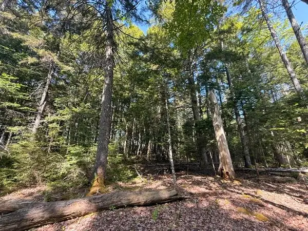 Lot #17 Sunset Cove Way, Orland, ME 04472