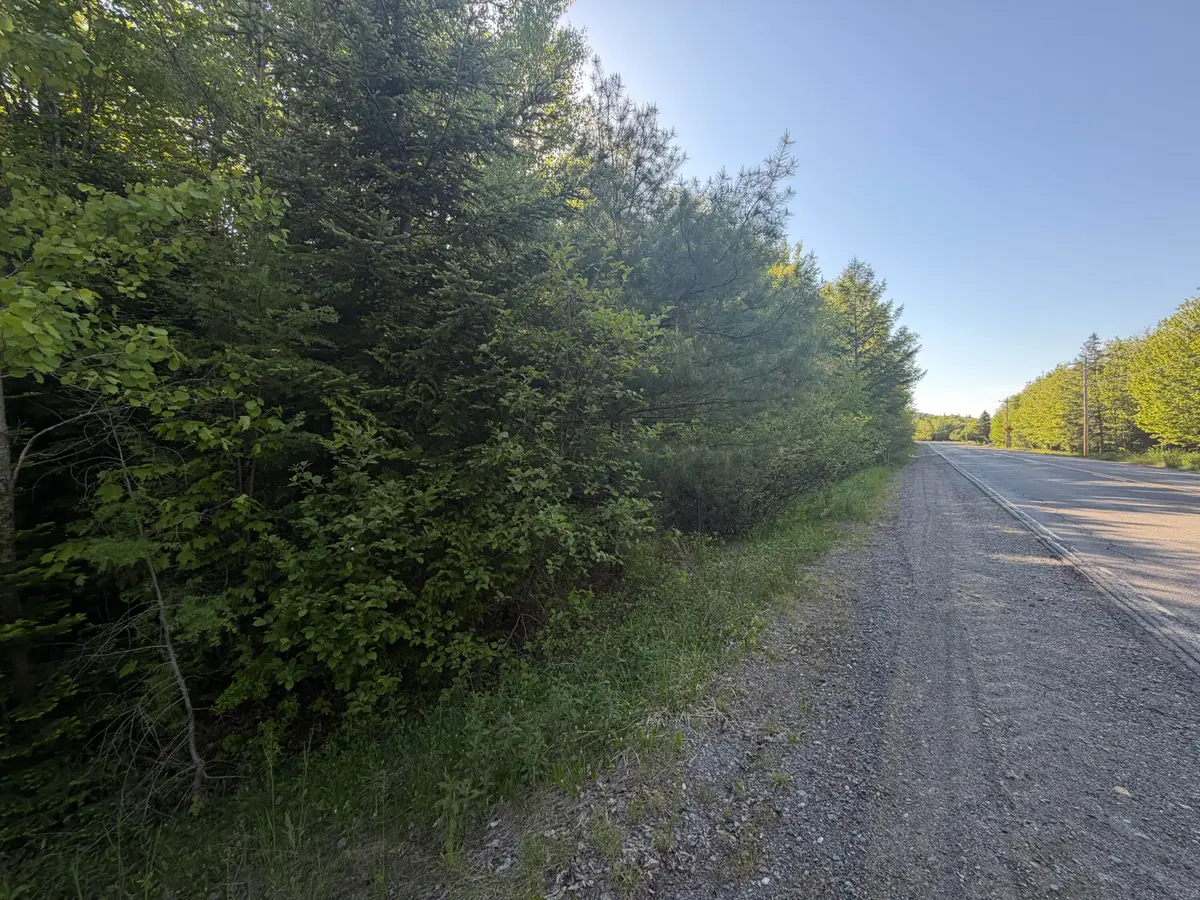 Lot A,C,&D Vanceboro Road, Vanceboro, ME 04619 - #1