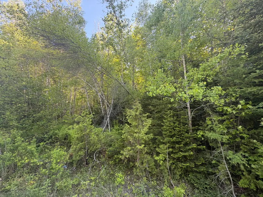 Lot A,C,&D Vanceboro Road, Vanceboro, ME 04619 - #2