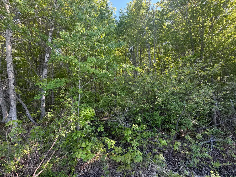 Lot A,C,&D Vanceboro Road, Vanceboro, ME 04619 - #3