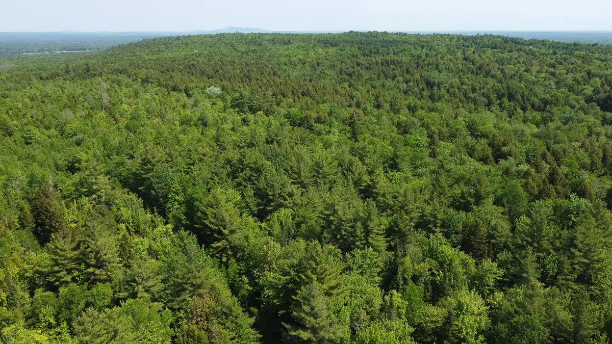 M1 L2 Off Bunker Hill Road, Maxfield, ME 04448 - #1