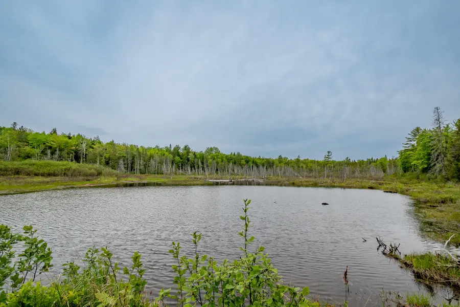M5 L28 Cemetery Road, Guilford, ME 04443 - #3