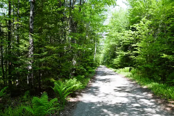 MS03l17.3 Carry Pond Road, Carrying Place Twp, ME 04961
