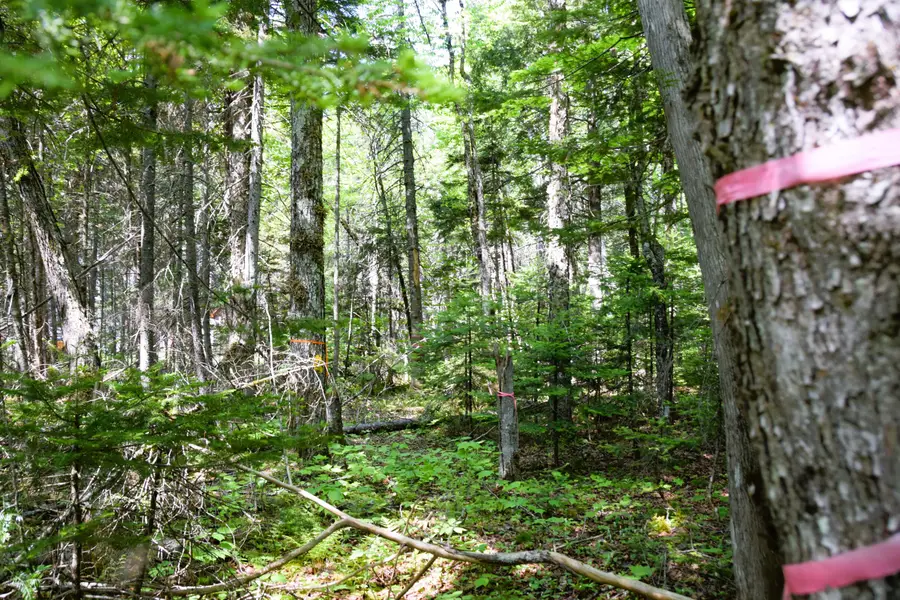 MS03l17.3 Carry Pond Road, Pleasant Ridge, ME 04961 - #3