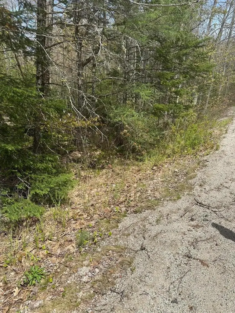 Lot 6 West Unionville Road, Steuben, ME 04680 - #3