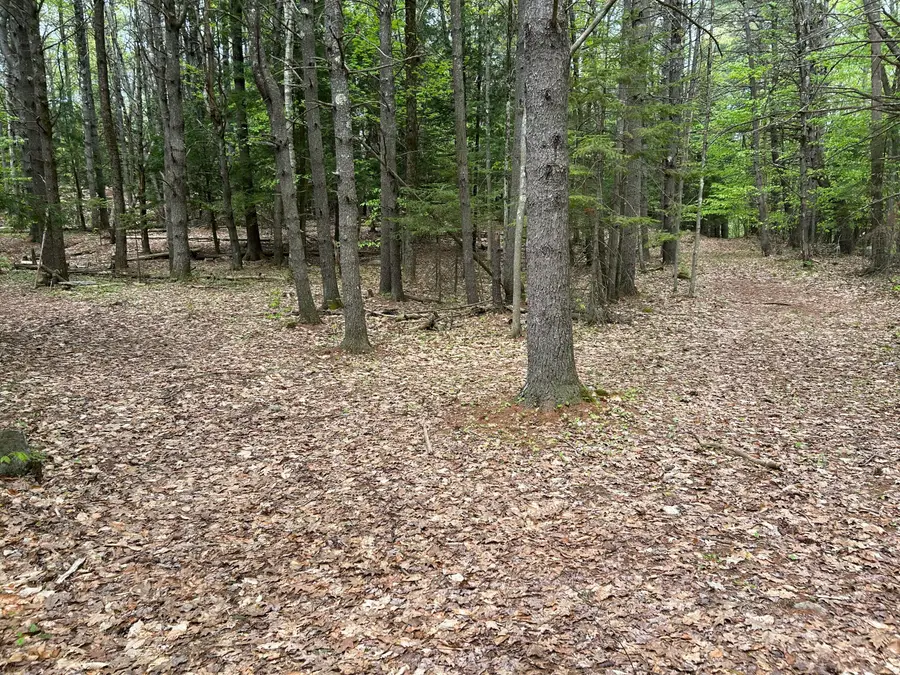 281 Randall Road, Lewiston, ME 04240 - #3