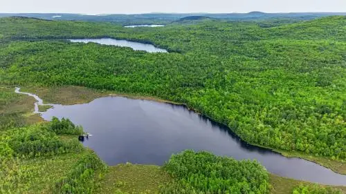 Lot# Bucksmills Road, Bucksport, ME 04416 - #1