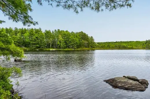Lot# Bucksmills Road, Bucksport, ME 04416 - #3